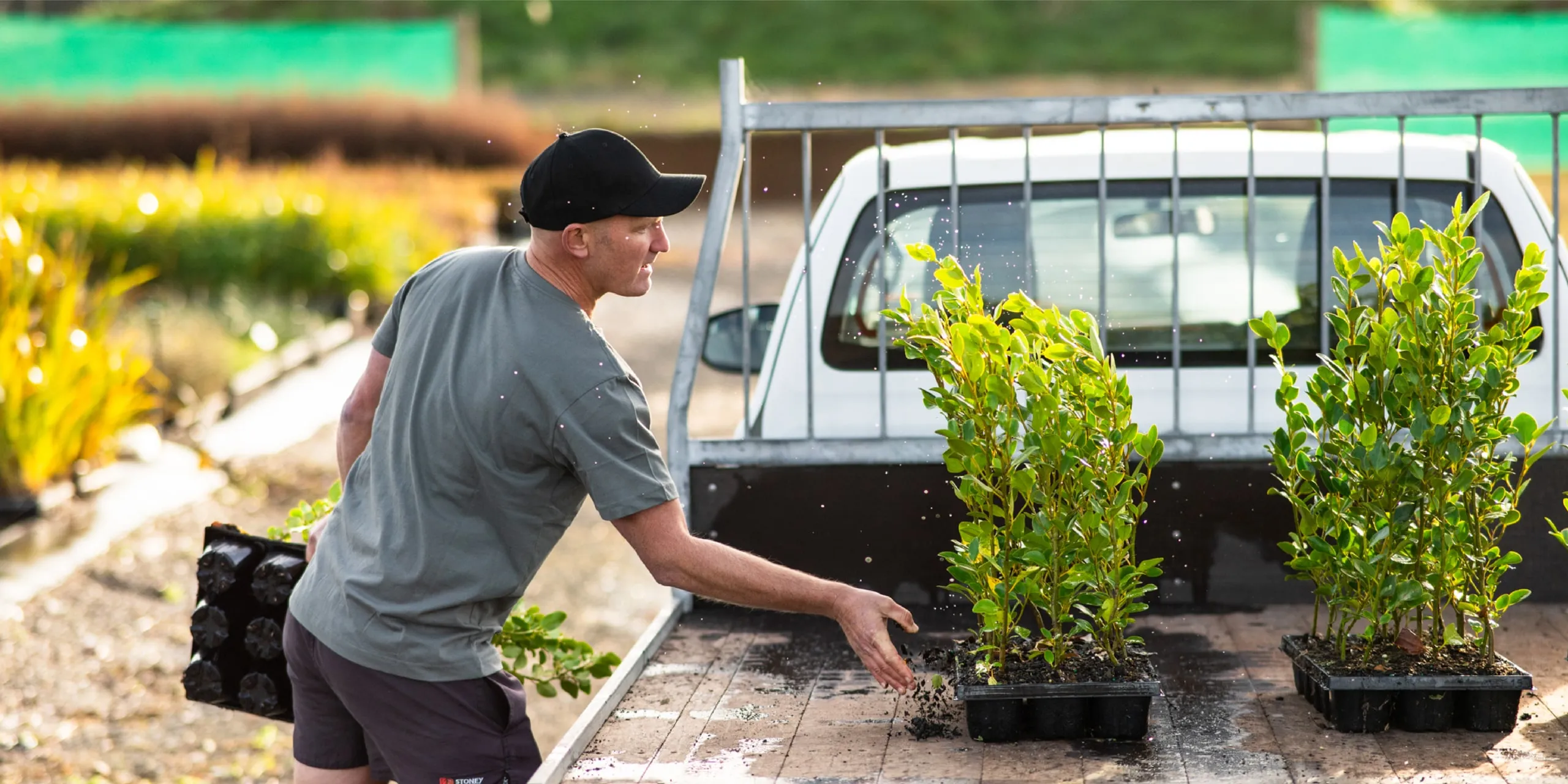 GrowHQ nursery