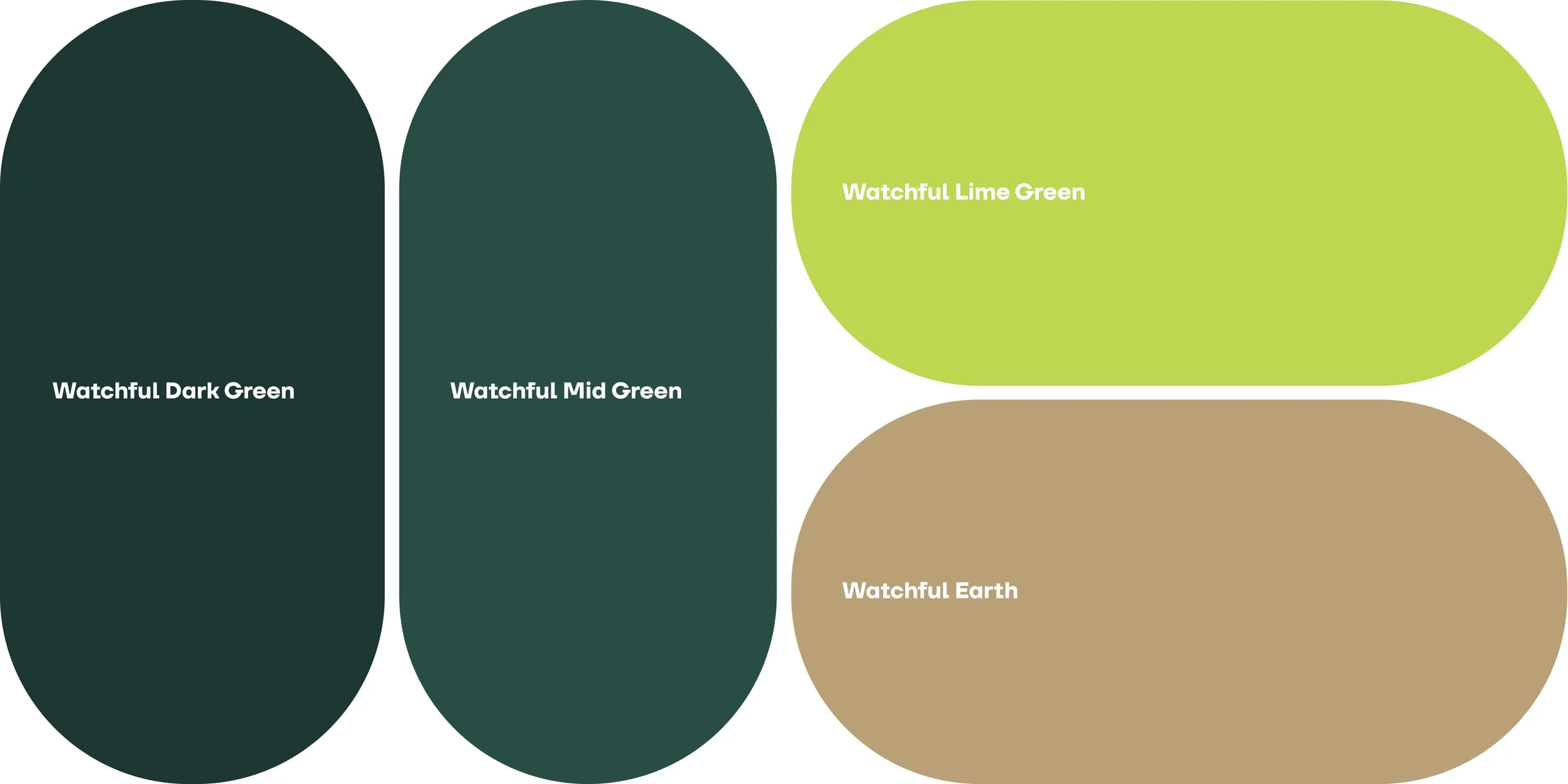 Watchful colours